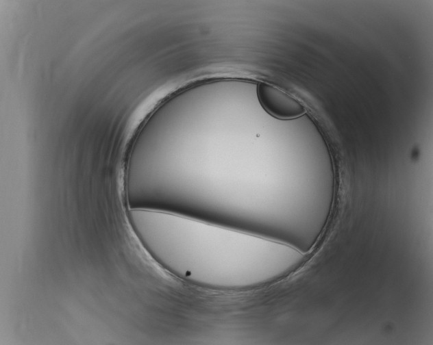 X0000115771188200911131015