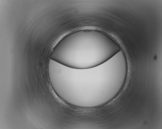 X0000115771193200911131015