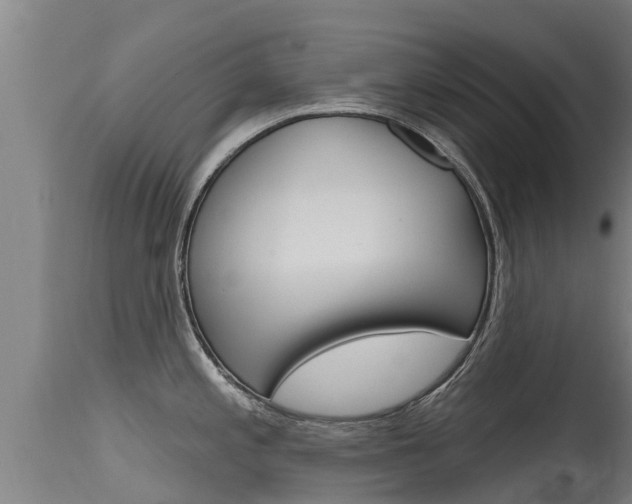 X0000115771197200911131015