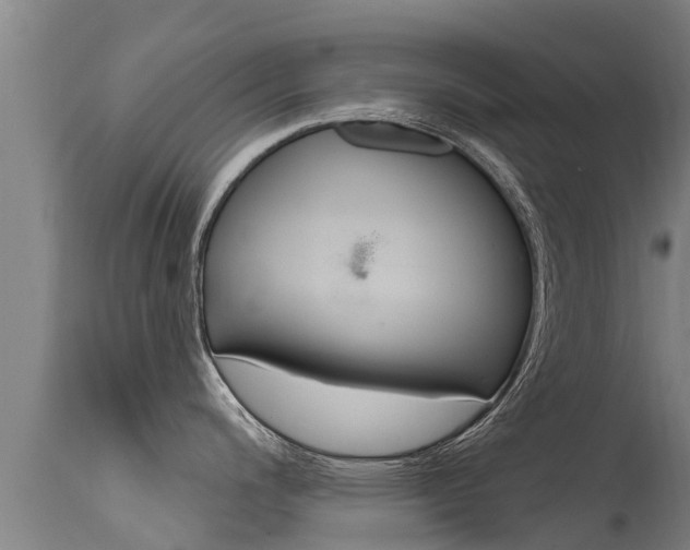 X0000115771200200911131015
