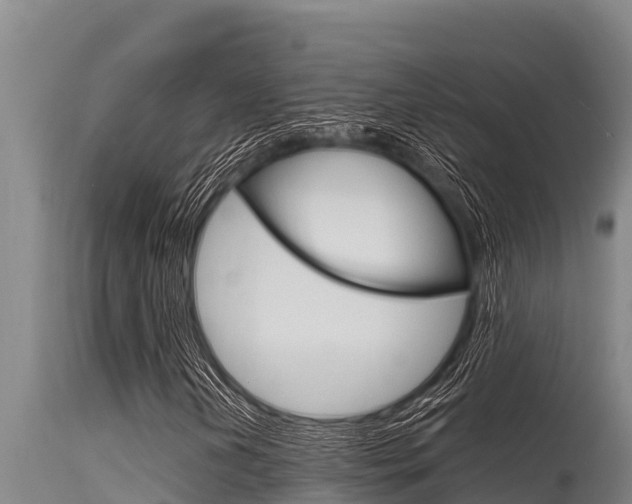X0000115771202200911131014
