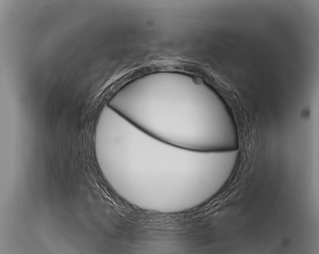 X0000115771206200911131014