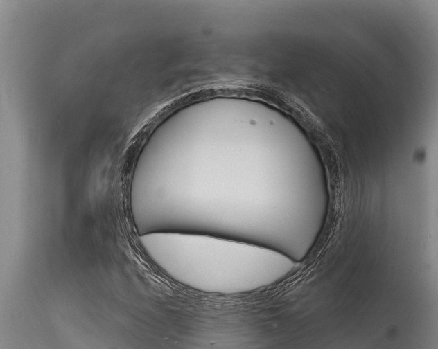 X0000115771208200911131014