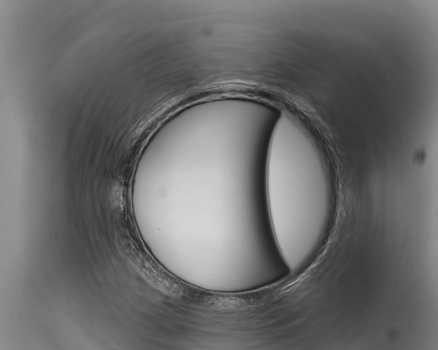 X0000115771209200911131014