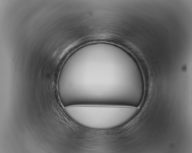 X0000115771210200911131014