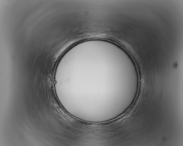 X0000115771212200911131014