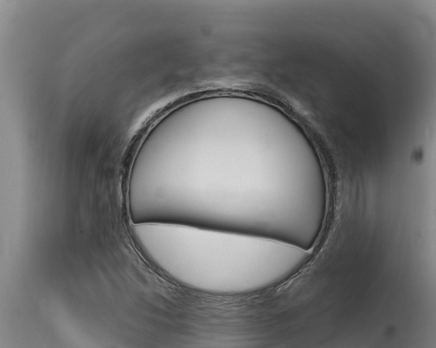 X0000115771214200911131014