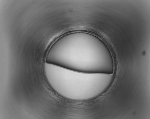 X0000115771218200911131014