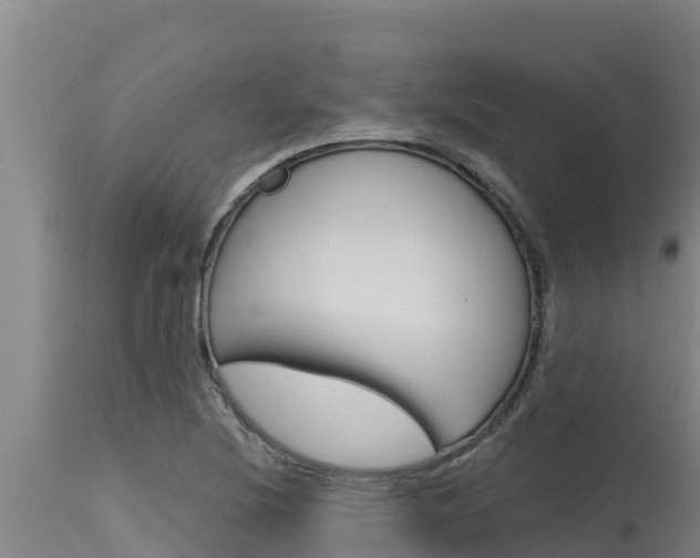 X0000115771220200911131014
