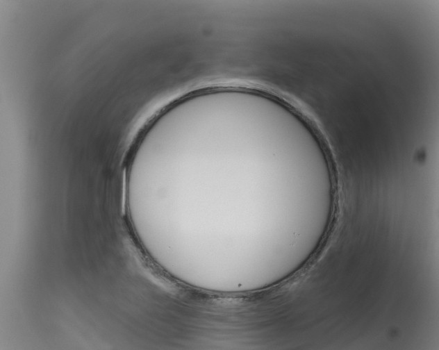 X0000115771223200911131014