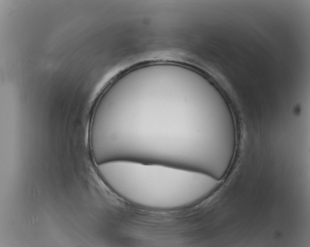 X0000115771224200911131014