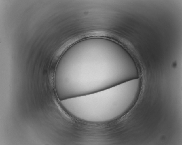 X0000115771225200911131014