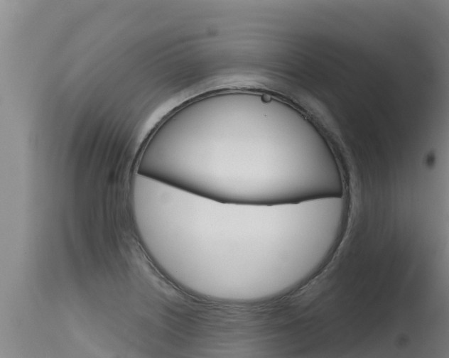 X0000115771226200911131014