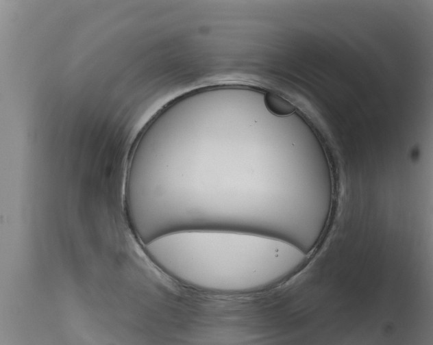 X0000115771228200911131014