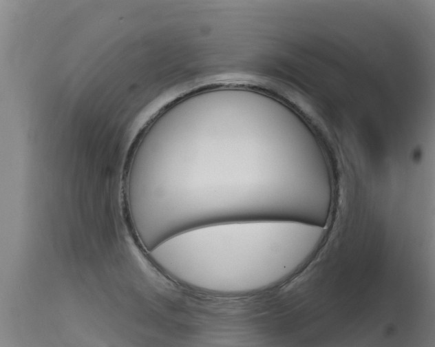 X0000115771229200911131014