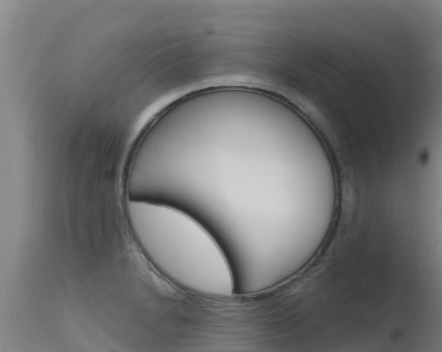 X0000115771230200911131014