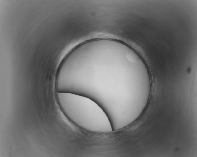 X0000115771231200911131014