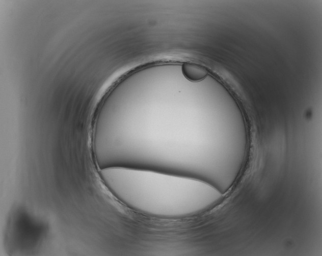 X0000115771232200911131014