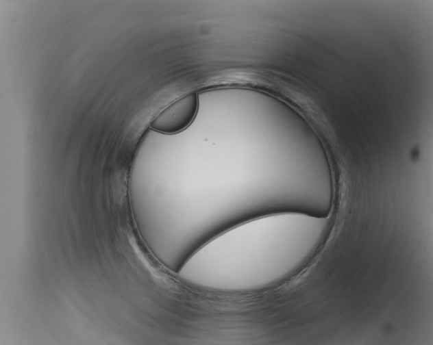 X0000115771233200911131014