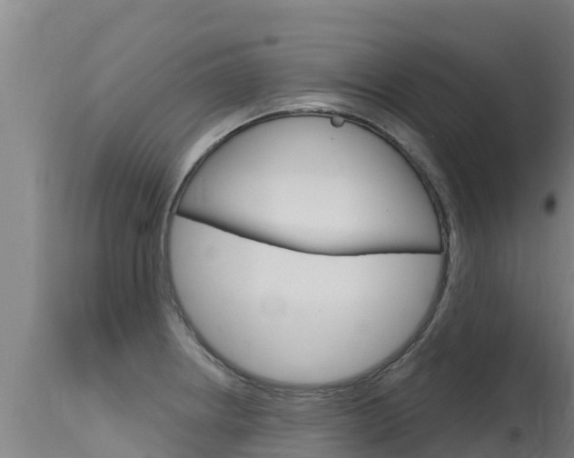 X0000115771234200911131014
