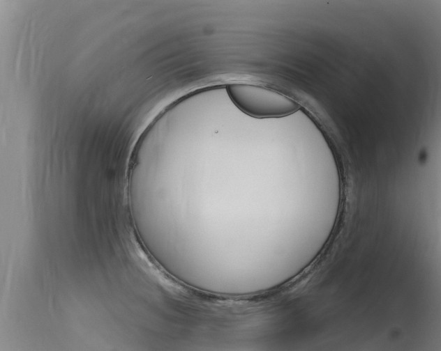 X0000115771236200911131014