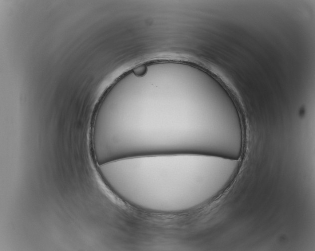X0000115771237200911131014