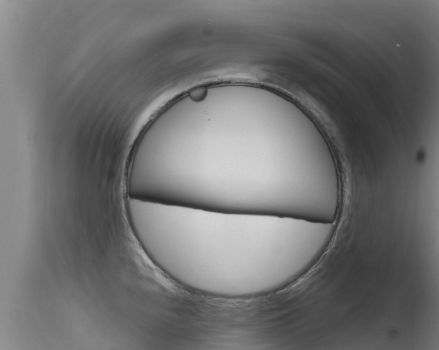 X0000115771240200911131014