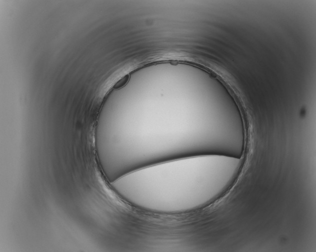 X0000115771241200911131014