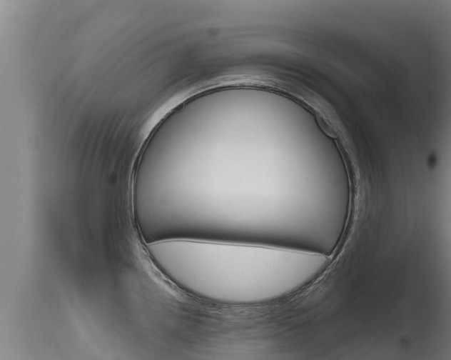 X0000115771242200911131014