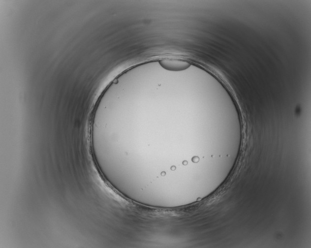 X0000115771243200911131014