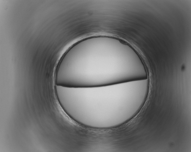 X0000115771246200911131015