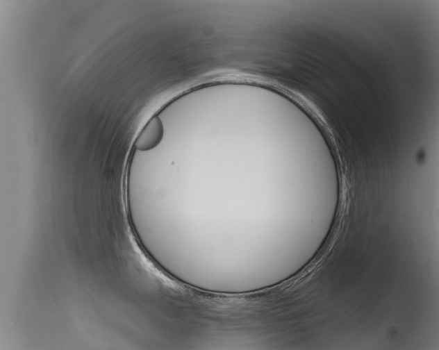 X0000115771247200911131015
