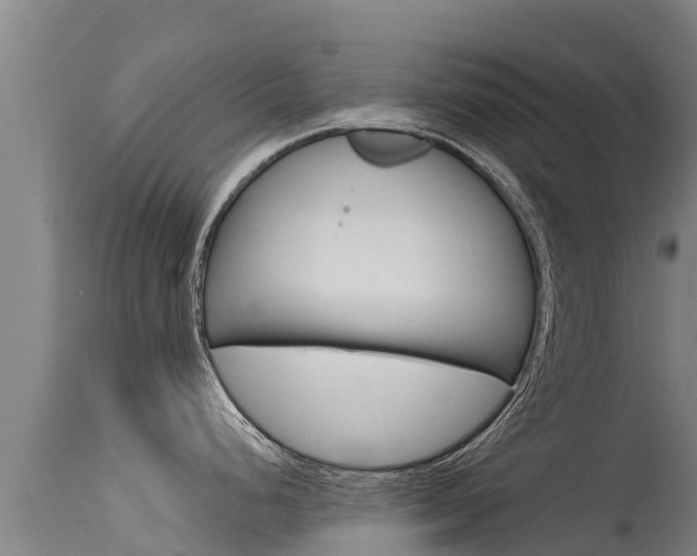 X0000115771248200911131015