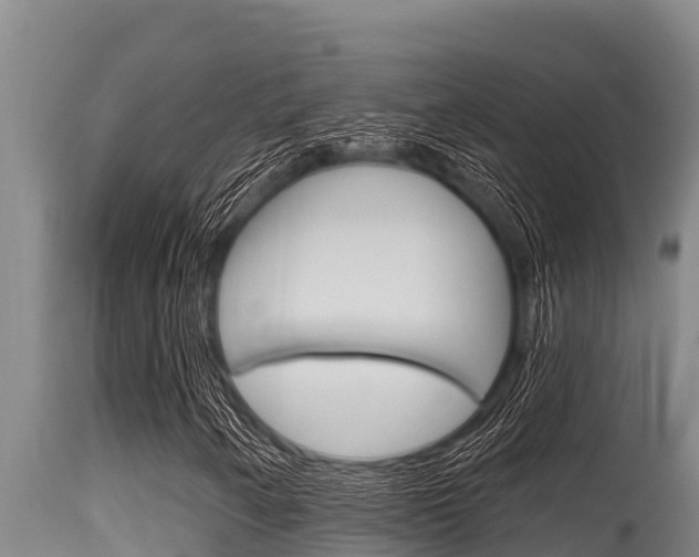 X0000115771250200911131014