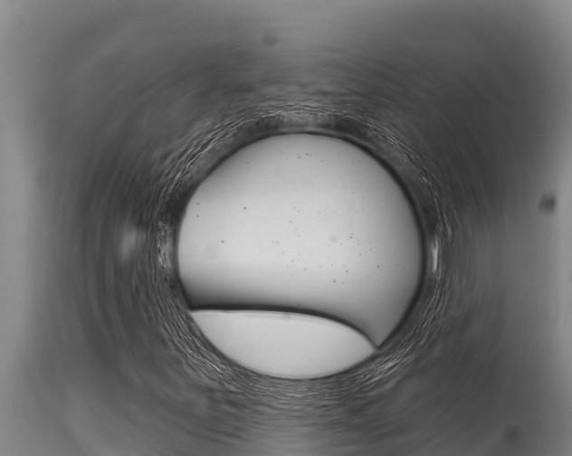 X0000115771251200911131014