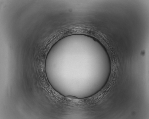 X0000115771253200911131014