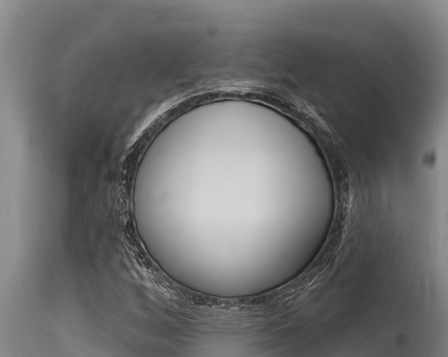 X0000115771256200911131014