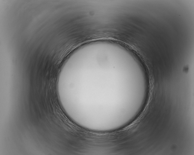 X0000115771257200911131014