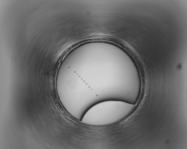 X0000115771259200911131014