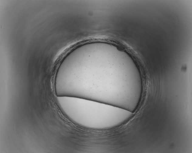 X0000115771262200911131014