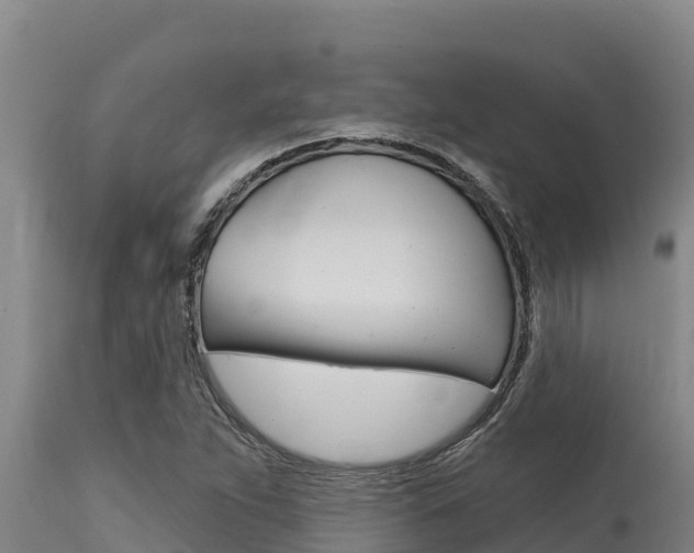 X0000115771263200911131014