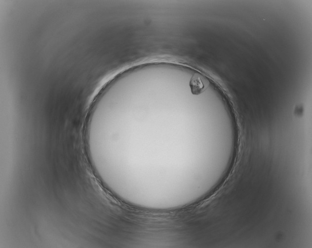 X0000115771264200911131014
