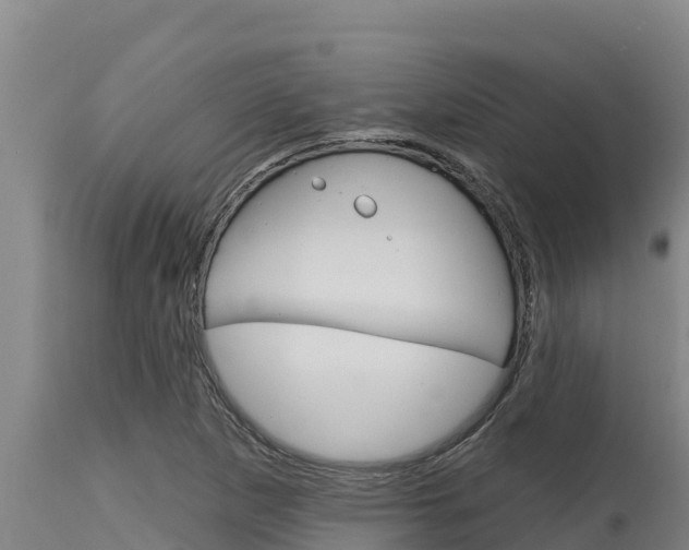 X0000115771265200911131014