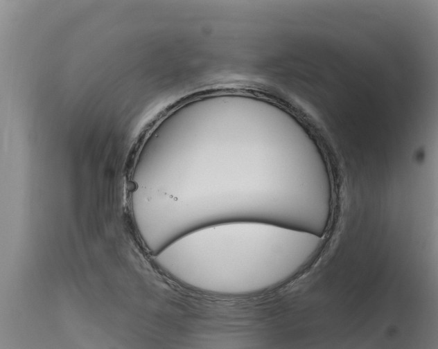 X0000115771267200911131014