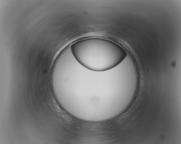 X0000115771268200911131014