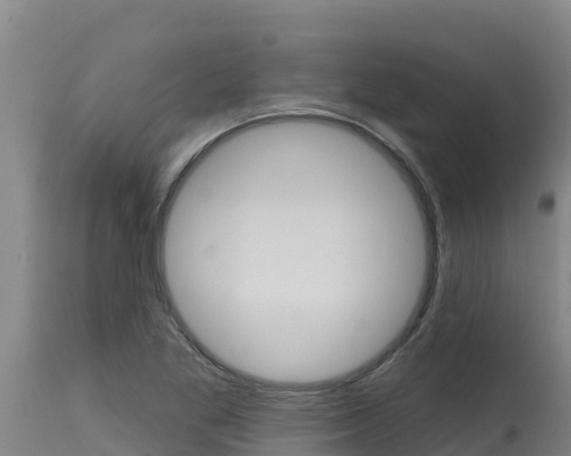 X0000115771269200911131014