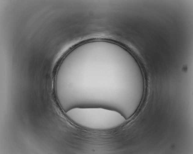 X0000115771270200911131014