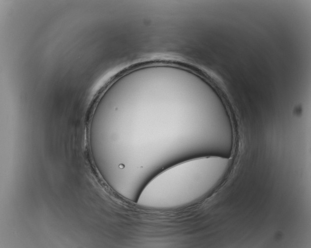 X0000115771271200911131014
