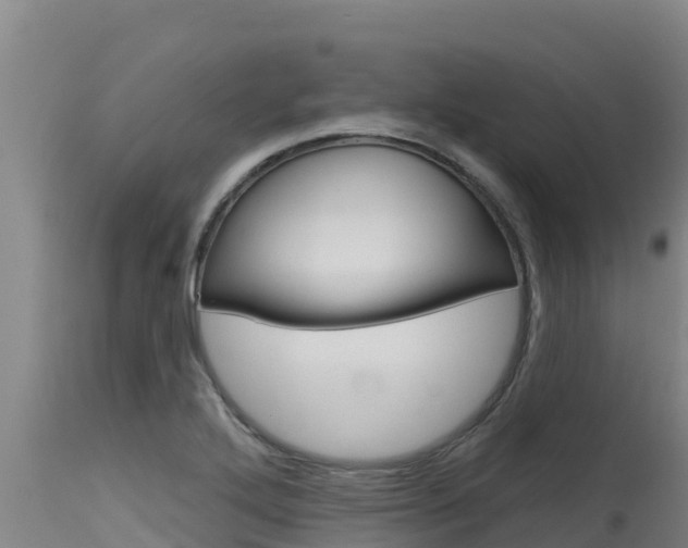 X0000115771272200911131014