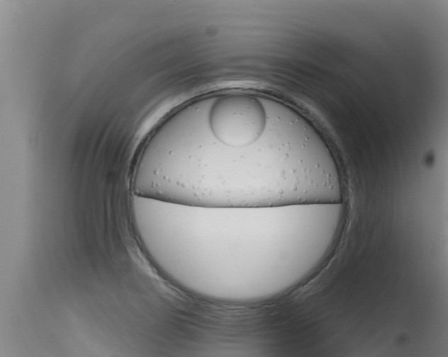 X0000115771274200911131014